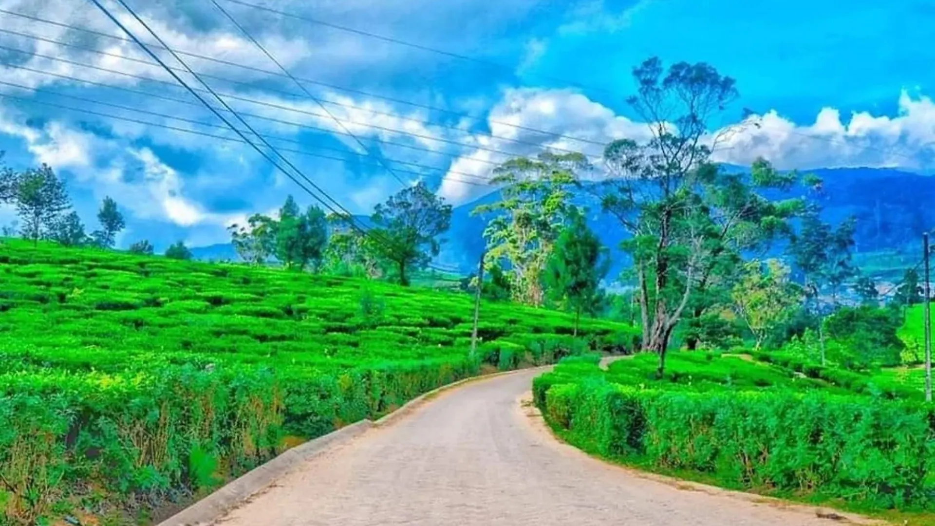 Hotel Stoney Croft Cottage Nuwara Eliya
