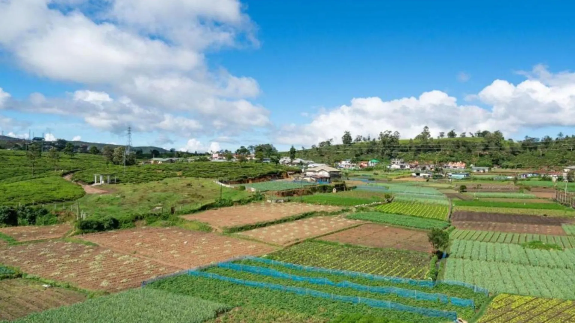 Stoney Croft Cottage Nuwara Eliya
